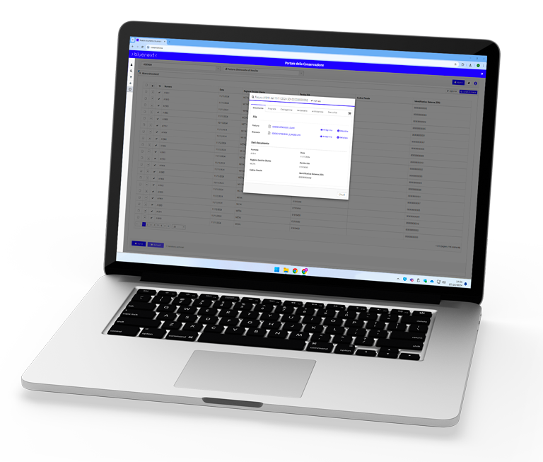 Conservazione documenti con Bluenext: consultazione