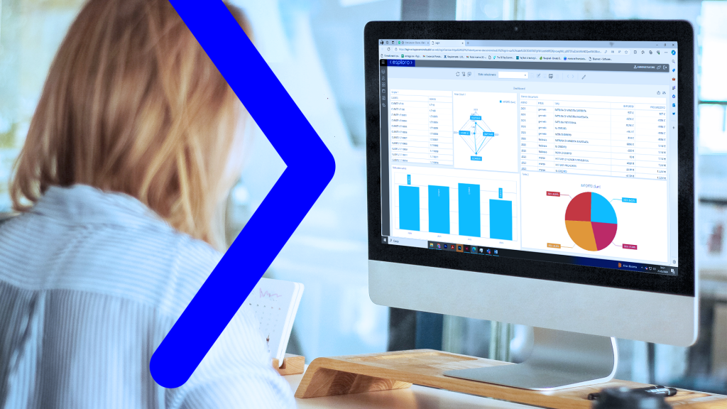 Il Software di Business Intelligence avanzata con Dashboards interattive e analisi precise